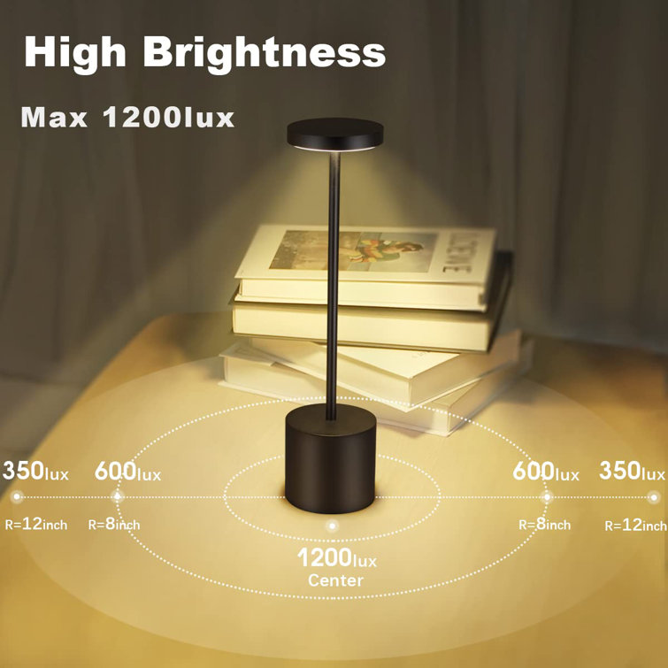 Battery operated hot sale home lights
